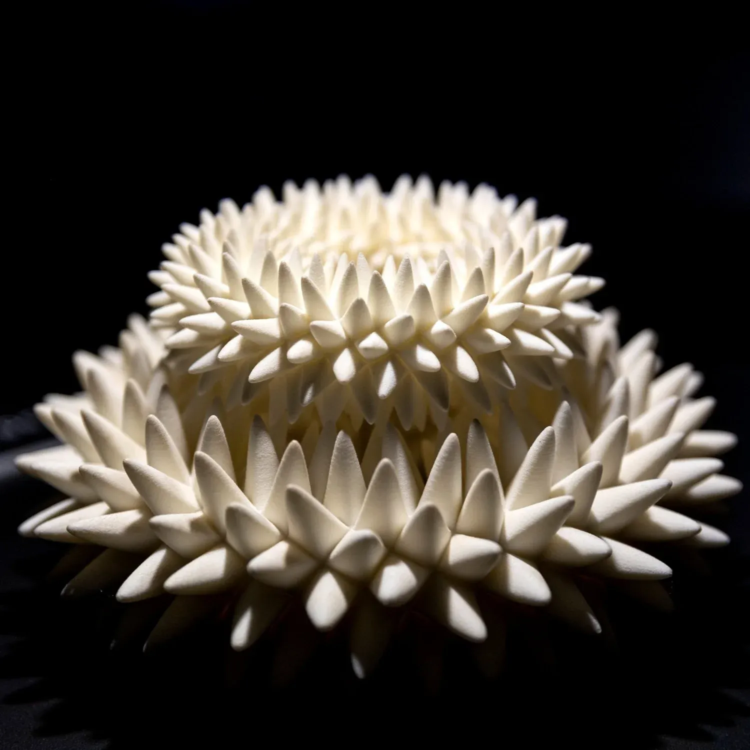 Blooms — 3D-printed sculptures animated under strobe light